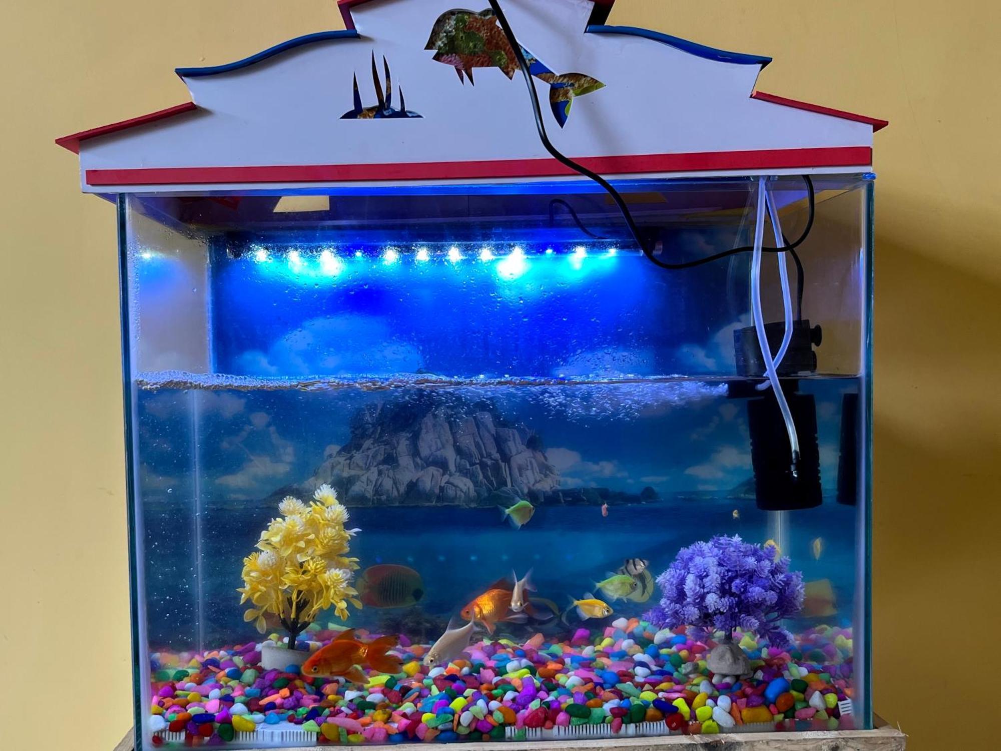 Dream Promenade Beach View 蓬蒂切里 外观 照片